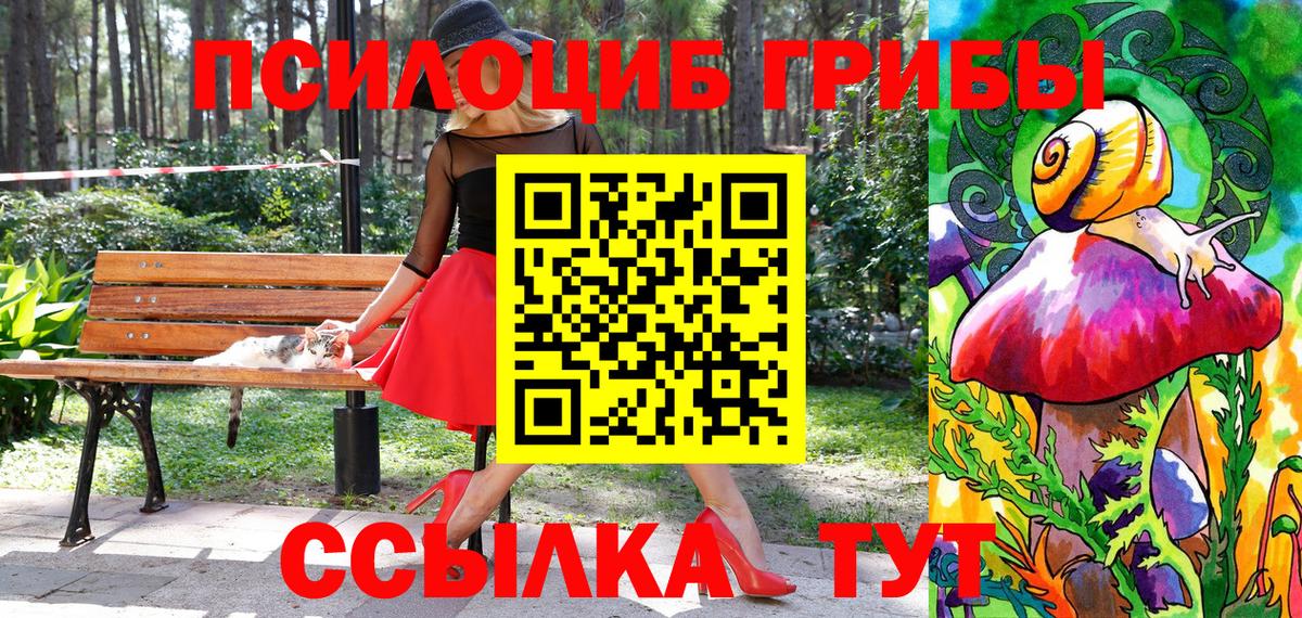 Псилоцибиновые грибы прущие грибы Аргун